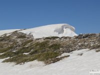 2026-04-18 Velino da S. Maria in Valle 161
